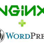 nginx+wp